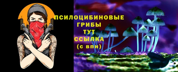 первитин Арсеньев