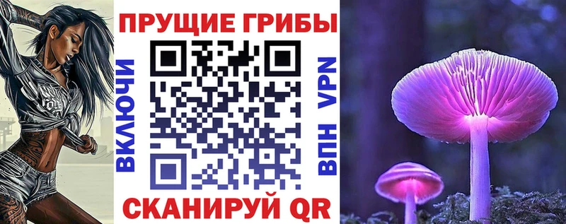 Псилоцибиновые грибы Cubensis  Североморск 